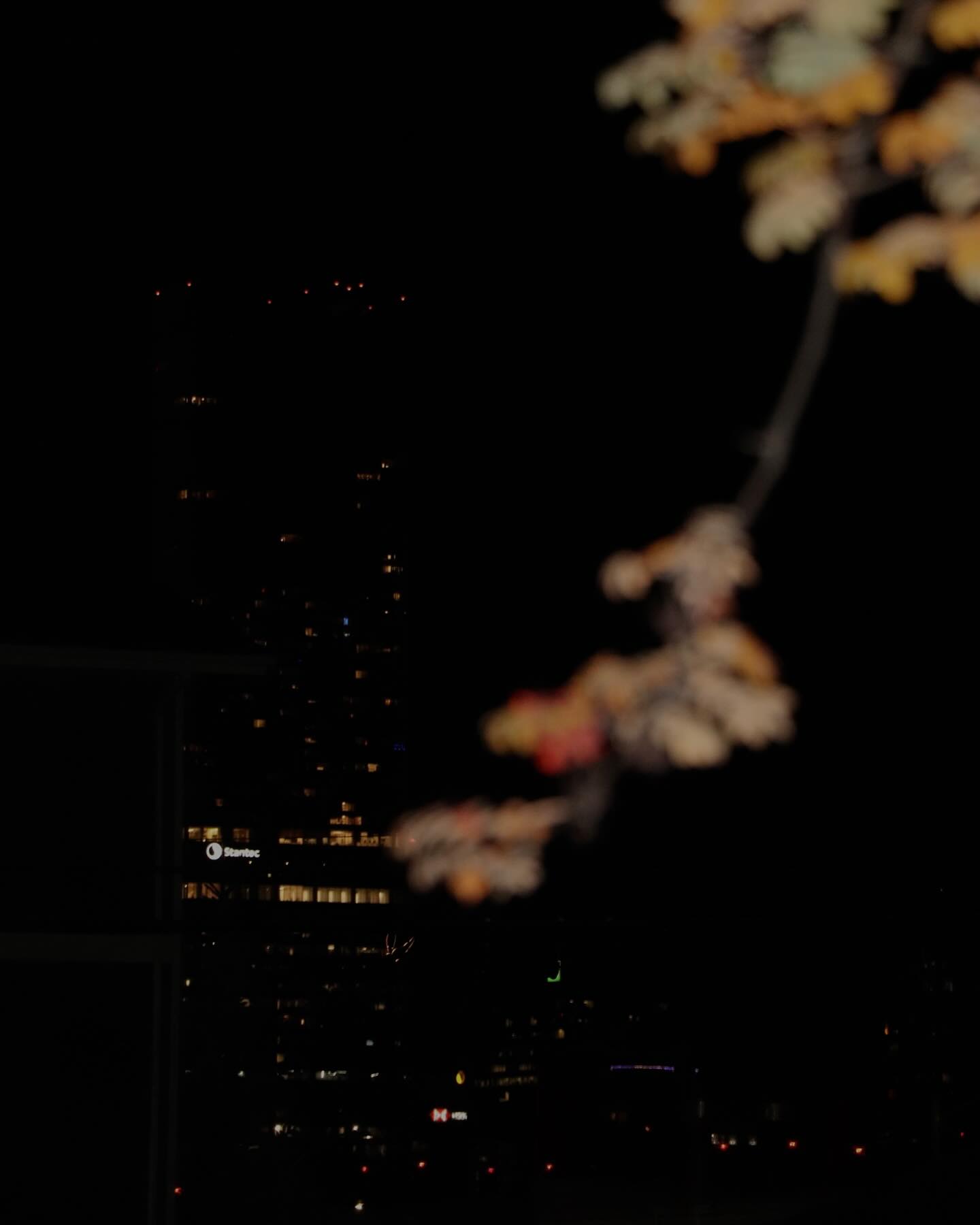 Skyline Pulse
